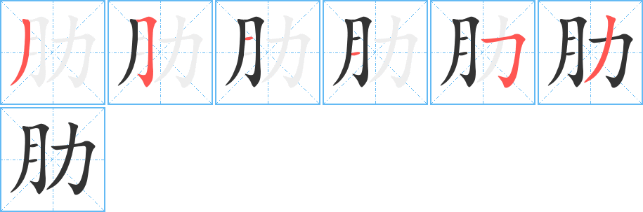 肋的筆順筆畫(huà)