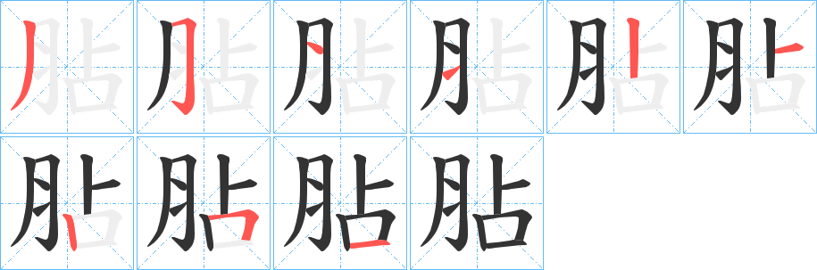 胋的筆順筆畫(huà)