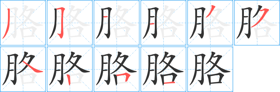 胳的筆順筆畫(huà)