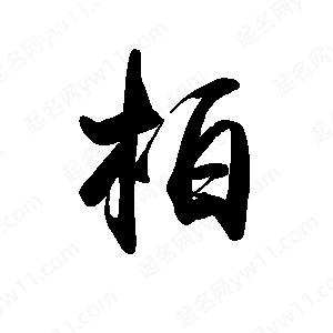 禹衛(wèi)寫的行書柏